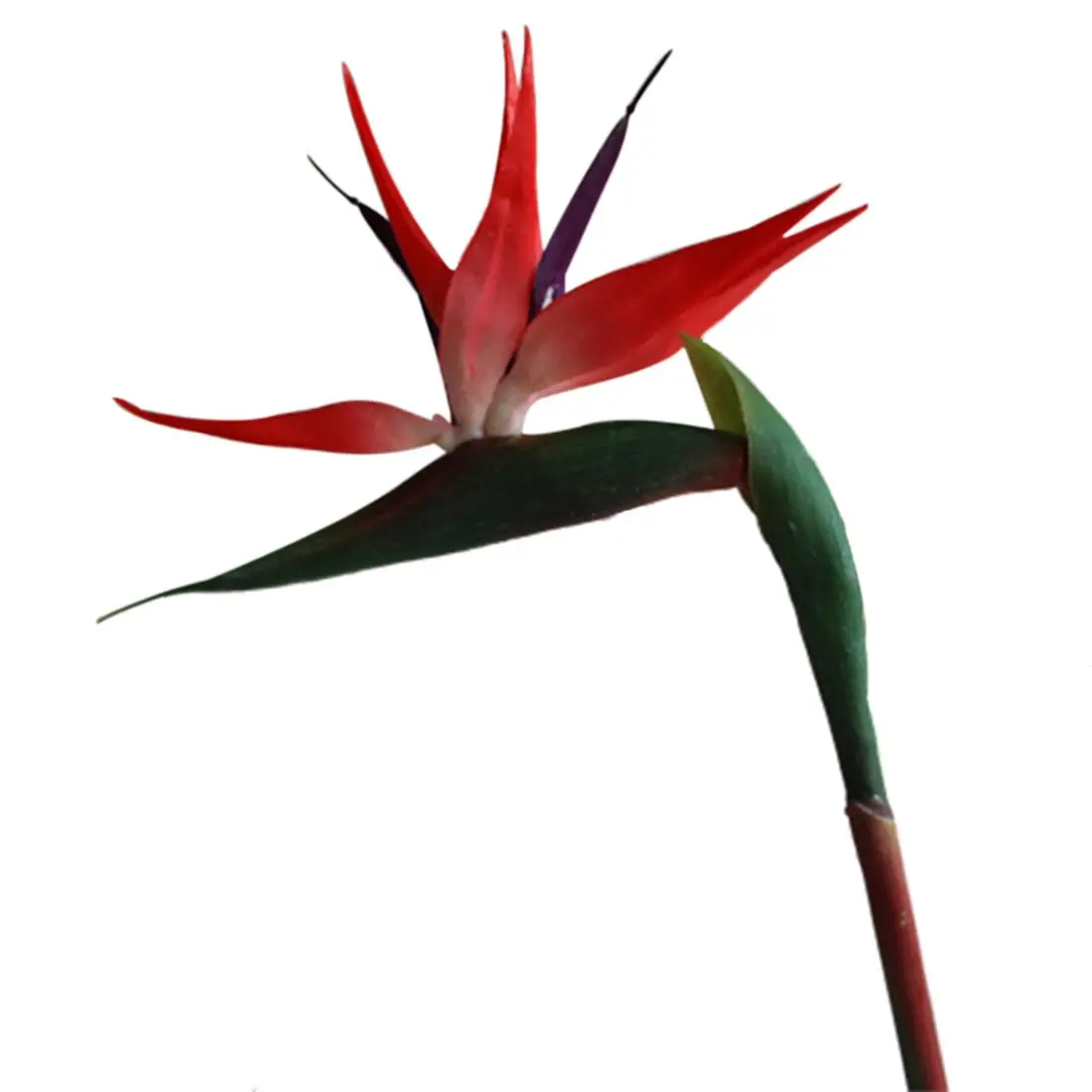 

Hot Sale Artificial Plastic Bird Of Paradise Bridal Party Wedding Garden Home Decor, Red&Green