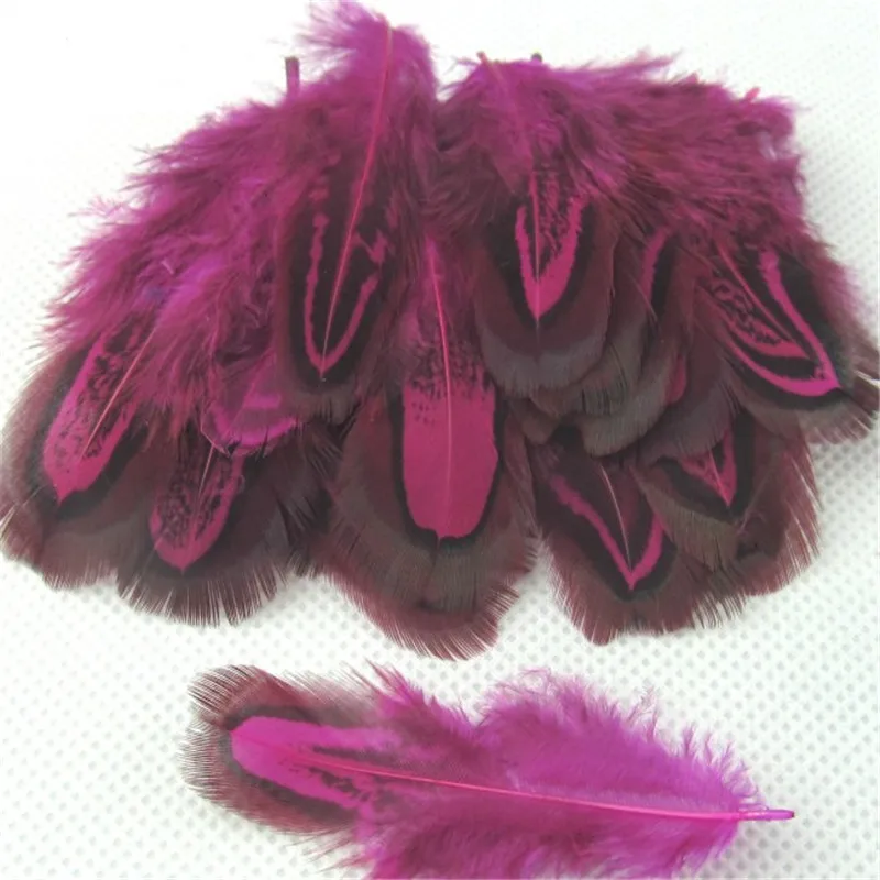 Buy 20 Pcs Feather Mix.16 Different Varieties Feathers For Choose.wholesale Bulk Feathers.golden Pheasant,ringneck Pheasant.craft Feathers Online In India - Foto 6