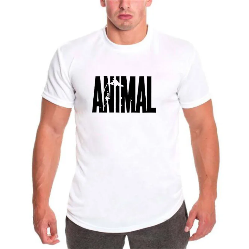 Buy Brand t shirt mens cotton muscle fitness men