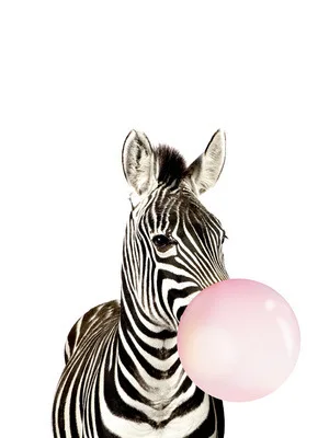 8532991397_152147637