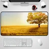 Computer Peripherals