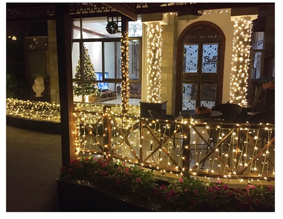 string lights (16)