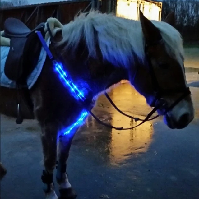 DHL latest USB charging glowing horse breast halter/band LED light shiny horse harness