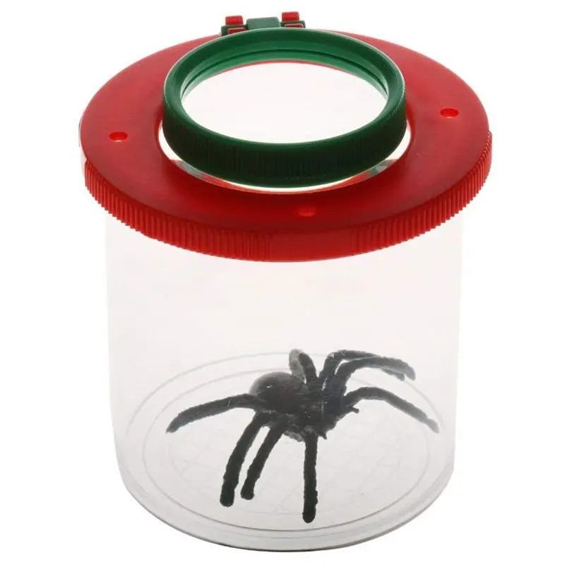 

Box Magnifier Observation Insect Spectator Lens Child Toy Magnification