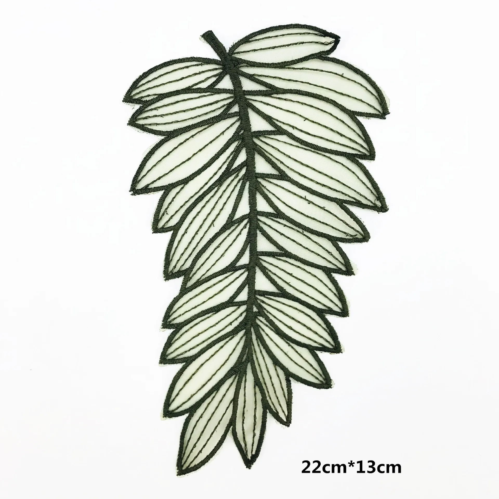 IMG_6514(20180625-172437)