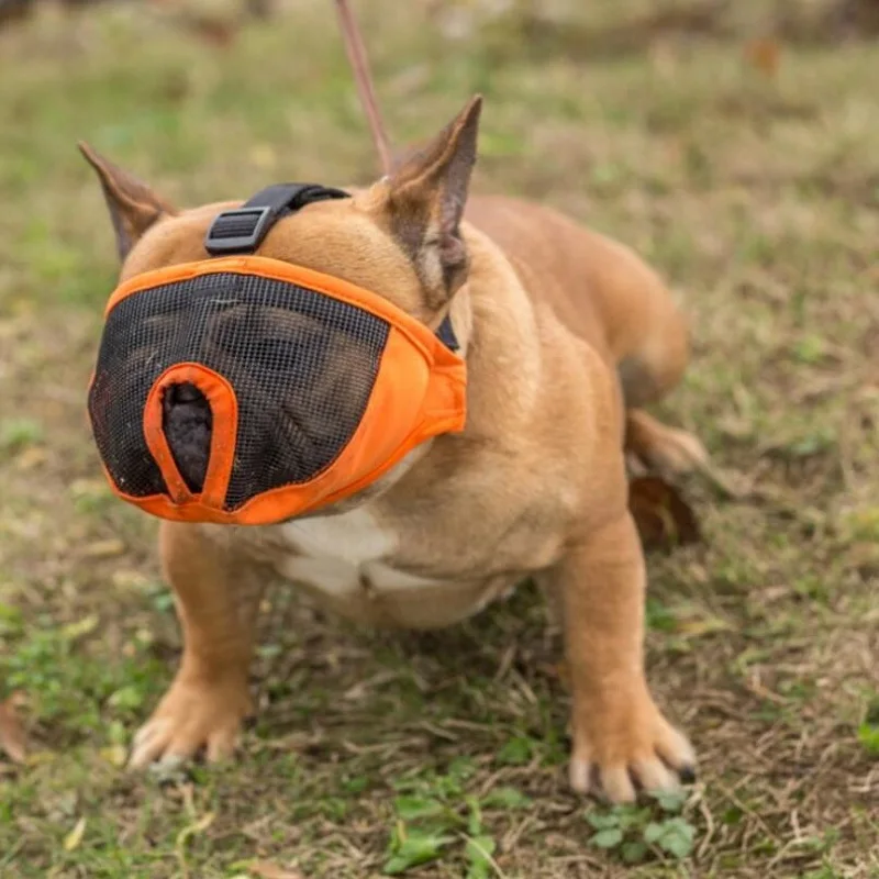short snout muzzle Special masks for short nosed dogs to prevent biting
