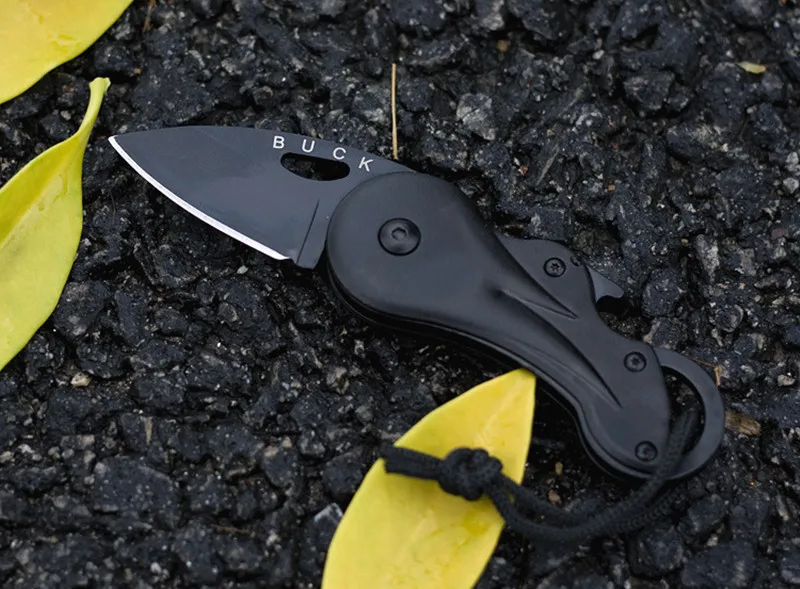 3004513321_1123808160