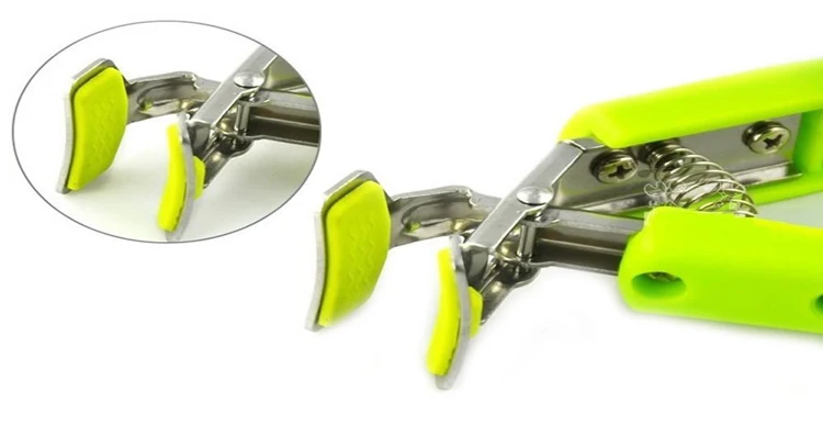 HTB1VkrLRVXXXXbFXVXXq6xXFXXXp