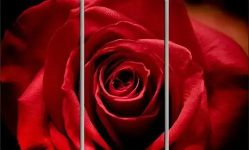 

3 pieces framed Wall Art Picture Gift Home Decoration Canvas Print painting Red roses wholesale/