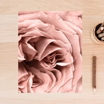 Sure Life Ins скандинавские Румяна цветочные Розовые розы печать на холсте картины плакаты настенные художественные картины для детской комнаты домашний декор - Цвет: C