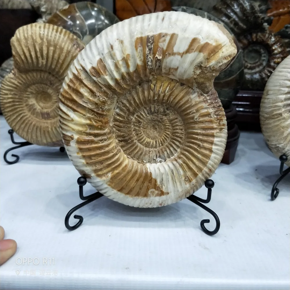 IMG20181108145701