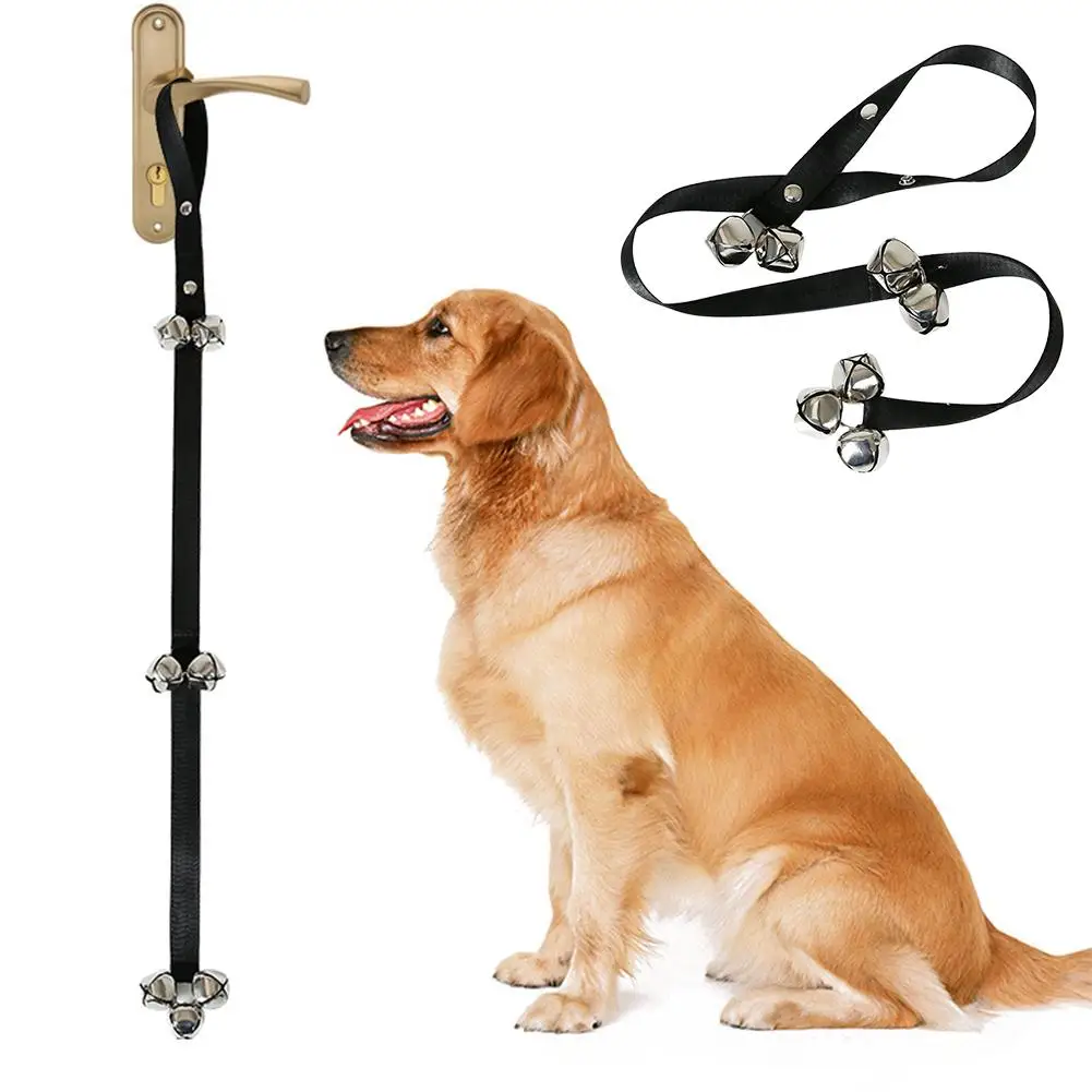 Pet Training Leashes Retractable Dog String Exercising Elasticity Hand