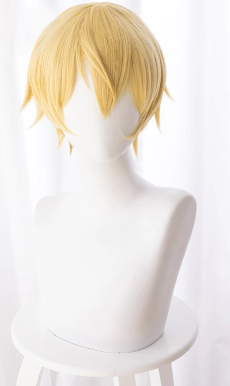 Sword Art Online: Alicization Eugeo Cosplay Wig