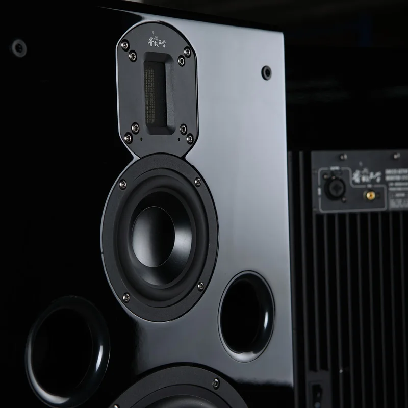 DM320 8 дюймовый трехсторонний активный мониторинг динамик s Hifi дюймов бас 4 Средний