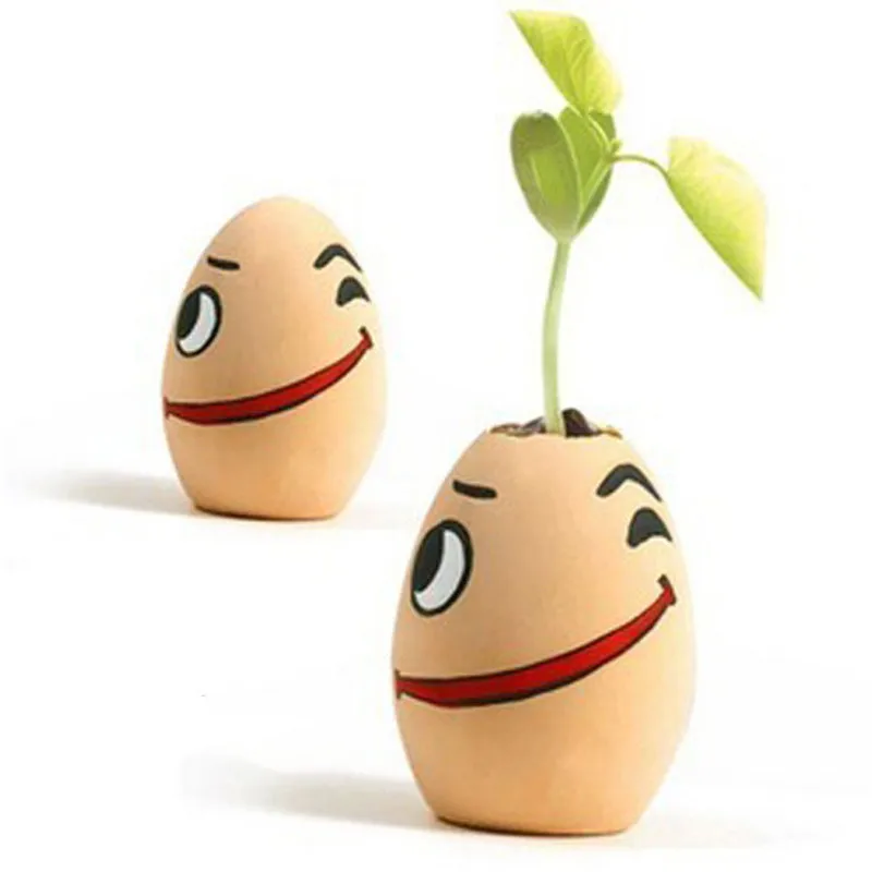 

Creative Handmade Bonsai Egg Magic Bean Office Tea Table Desktop Decorationon Mini Plant Novelty Interesting Planting Cute Gift