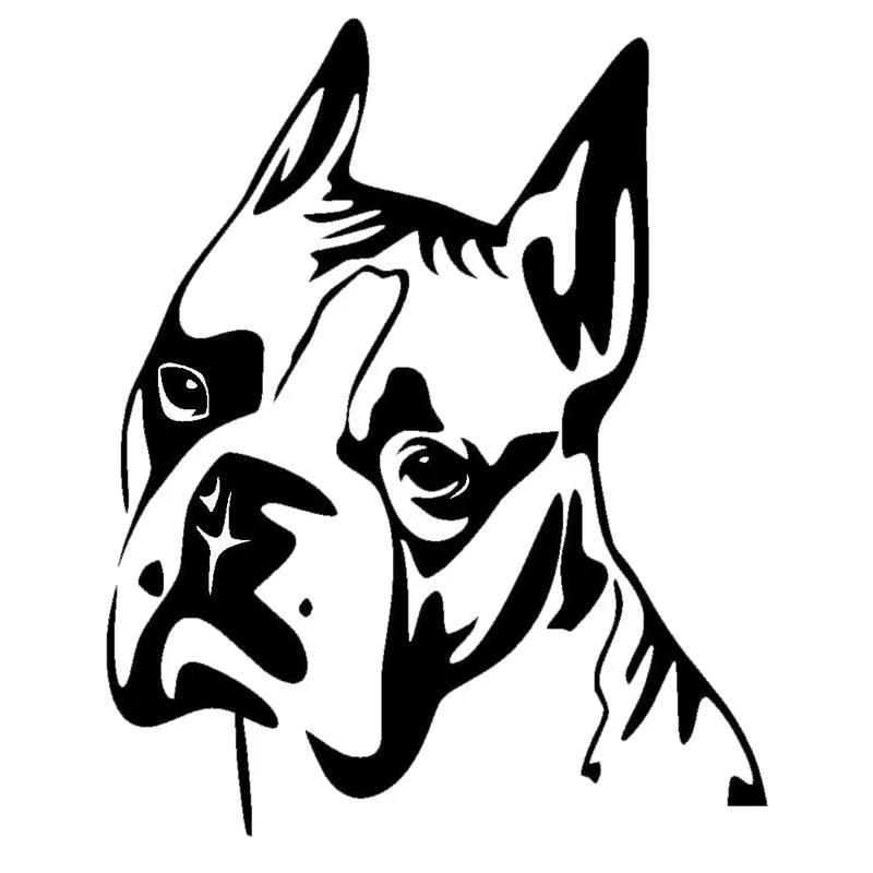 Perros Boxer Caracteristicas Cuidados Y Adiestramiento Petdarlingcom Tatuajes Para Hombre Con Perros Tatuajes Para Hombres