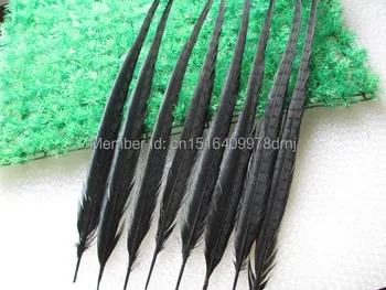 

heat! 200pcs / lot black color pheasant tail feathers 16-18 inches / 40-45 cm Wedding stage decoration