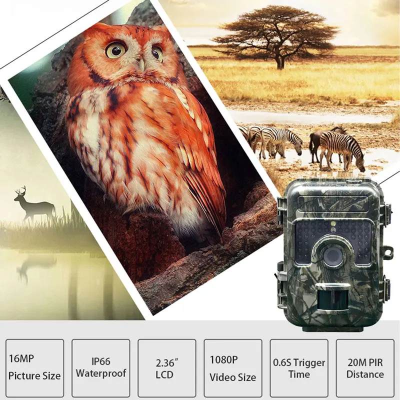 Hot Sale 1080P HD Hunting Camera 16MP 38pcs 940nm Infrared LEDs Hunting Traps Wildlife Trail Camera