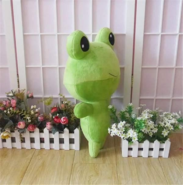 TB2HiODXr.b61Bjy0FnXXaEpXXa_!!141677595