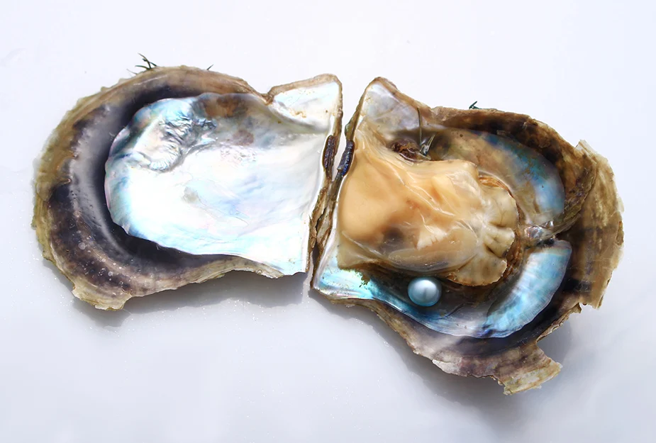 20 шт 6-8 мм Круглый Akoya жемчуг oyster индивидуальная вакуумная упаковка, детский синий цвет AAA класс соленой воды oyster