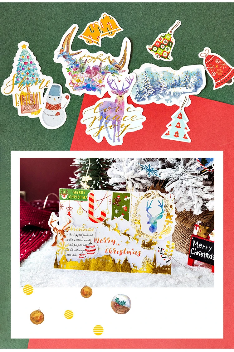 9572087638_1597187969