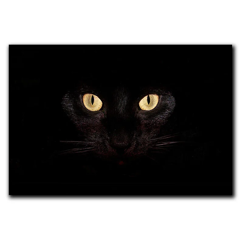 

CAMMITEVER Doormat Black Cat Eye Carpet for Kitchen Foot Pad Cat Rugs for Home Living Room Decoration for Children Kids 350g