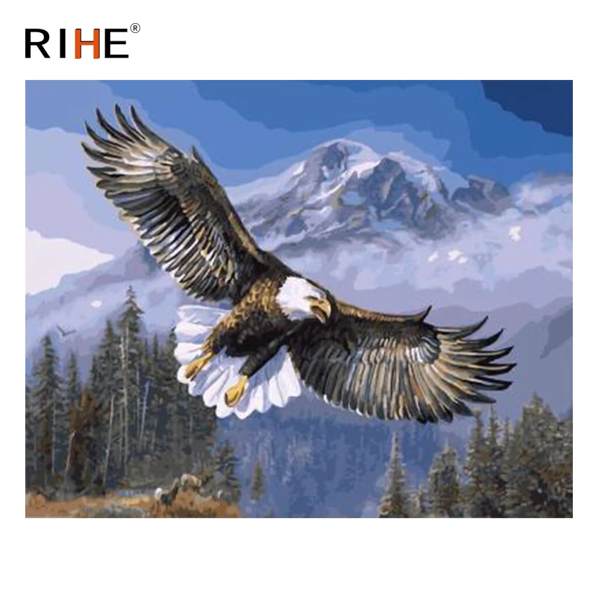 

RIHE Fly Eagle Diy Painting By Numbers Animal Oil Painting On Canvas Hand Painted Bird Cuadros Decoracion Acrylic Paint 40X50CM