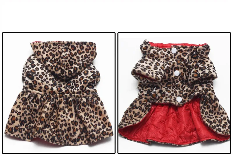 2432097887_1137454732