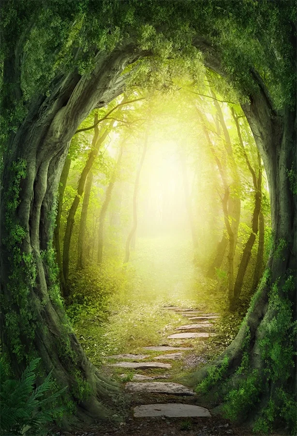 

Laeacco Dreamlike Forest Trees Sunlight Scenic Photographic Backdrops Customized Photography Background For Photo Studio