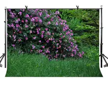 7x5ft Natural Scenery Backdrop Bouquets of Flowers Green Grass Photography Background and Studio Photography Backdrop Props 7x5ft Natural Scenery Backdrop Bouquets of Flowers Green Grass Photography Background and Studio Photography Backdrop Props