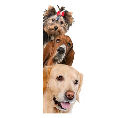 4162903532_717661661.400x400
