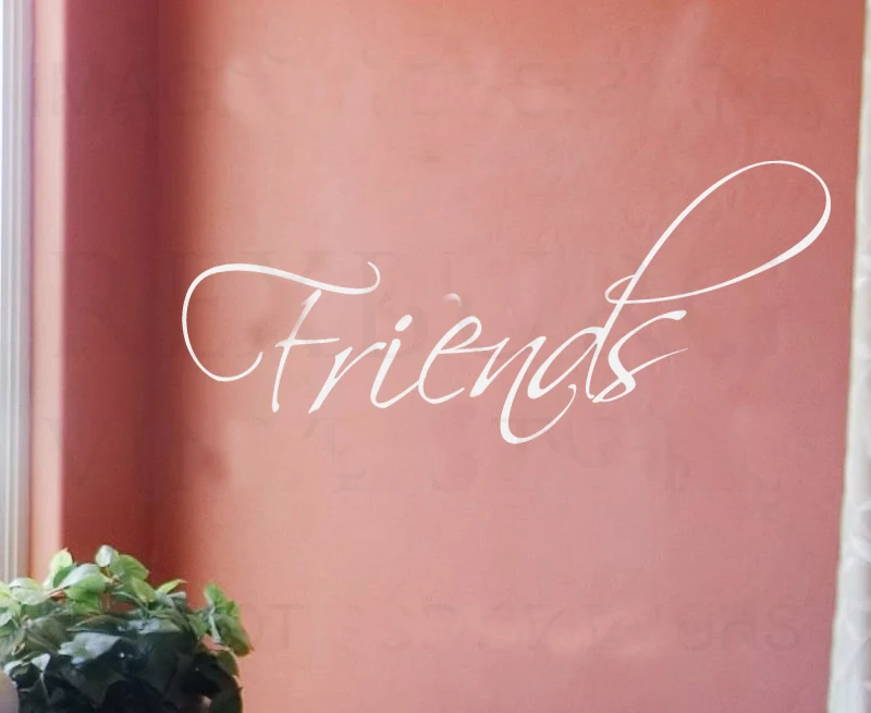 Wall Decal Sticker Quote Vinyl Art Lettering Removable Friends Friendship W17