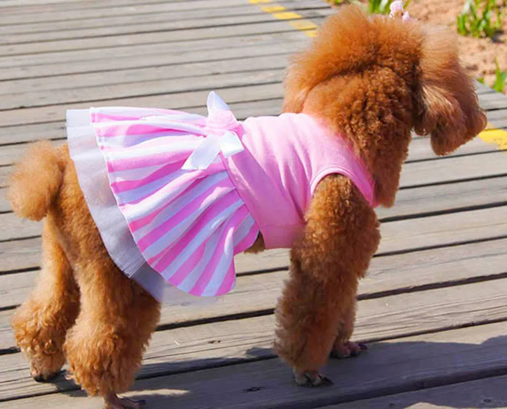 ISHOWTIENDA собака Кот платье–пачка с бантом юбка Собака Щенок Собака платье принцессы костюм, наряд, одежда для малых средних и больших размеров, товары для животных, собак