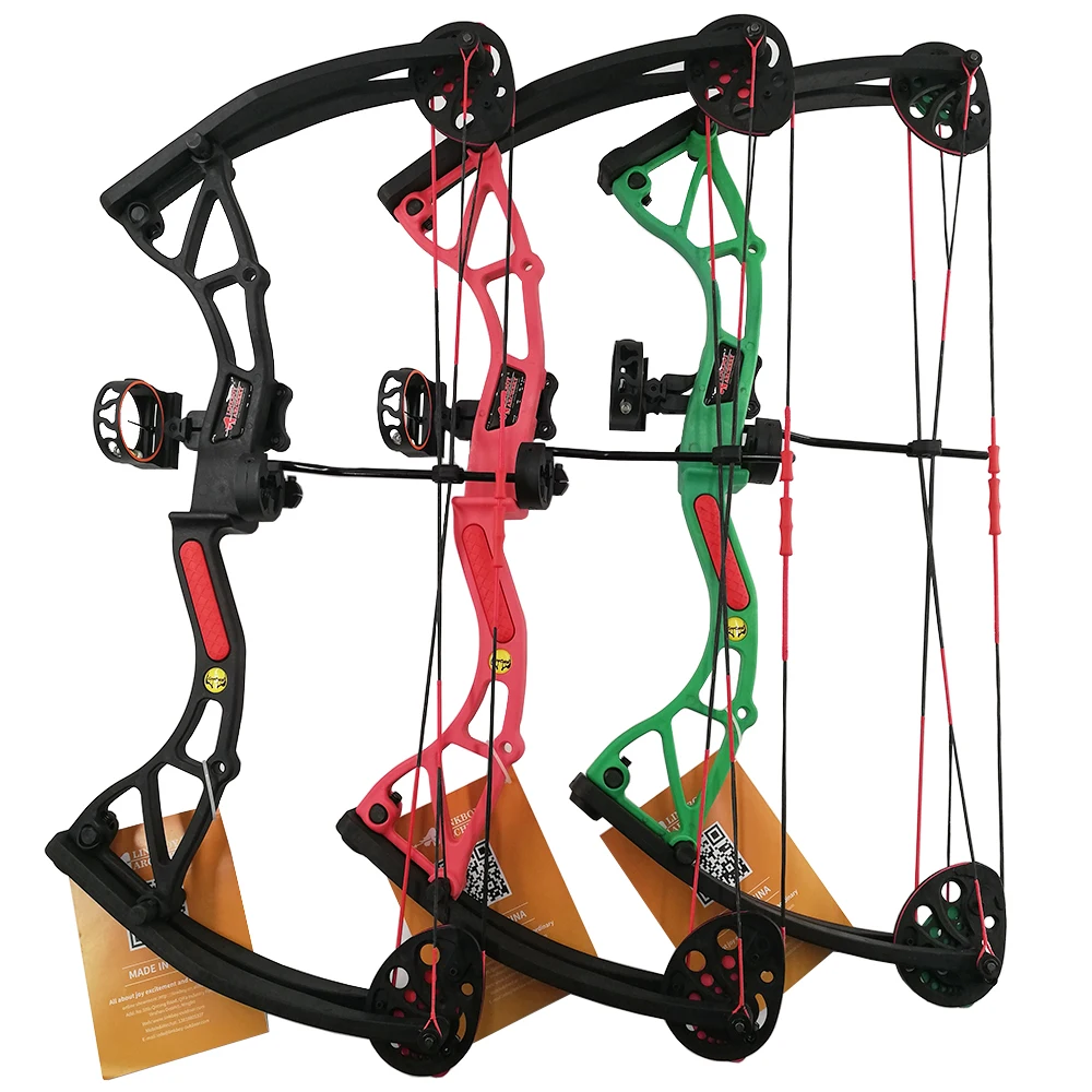 

Linkboy Archery 10-20 Lbs Children Compound Bow Draw Bow and Arrows Hunting for Holiday Children Outdoor The Best Gift