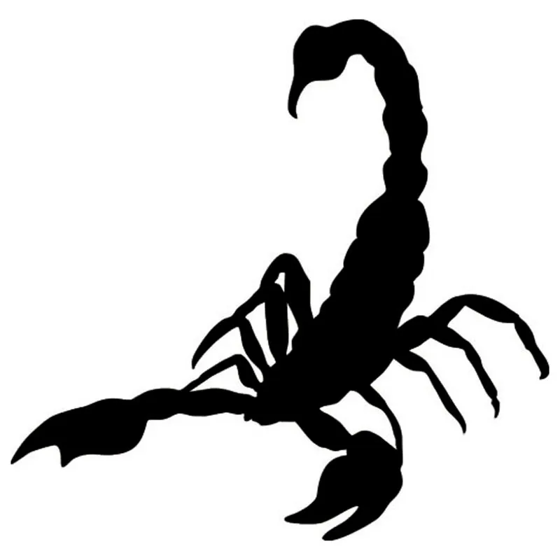 HTB1rY72LXXXXXXsapXXq6xXFXXXw - 