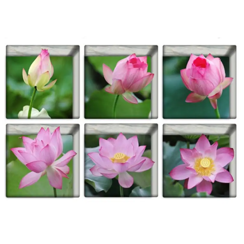 

6pcs 13x13cm Lotus Pattern 3D Anti Slip Waterproof Bathtub Sticker may24