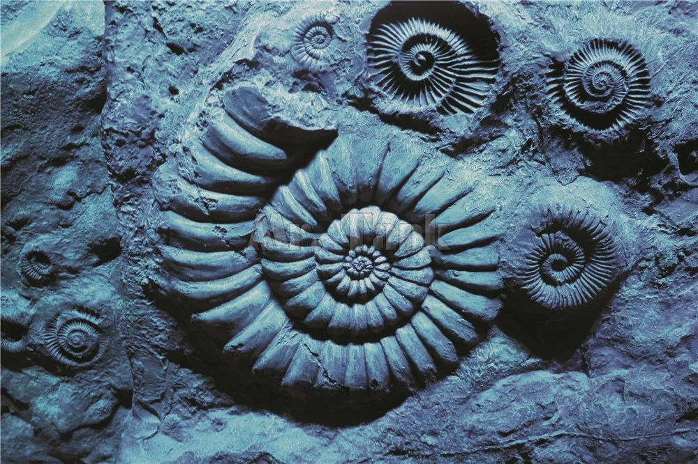 Фон для аквариума Mr.Tank с 3d эффектом Постер Ammonoid из ПВХ украшения Настенная