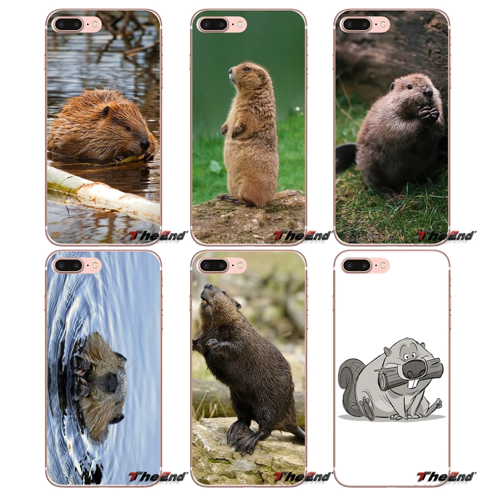 

For Samsung Galaxy S3 S4 S5 MINI S6 S7 edge S8 Plus Note 2 3 4 5 Grand Core Prime Beaver Zoo around The world Silicone Case