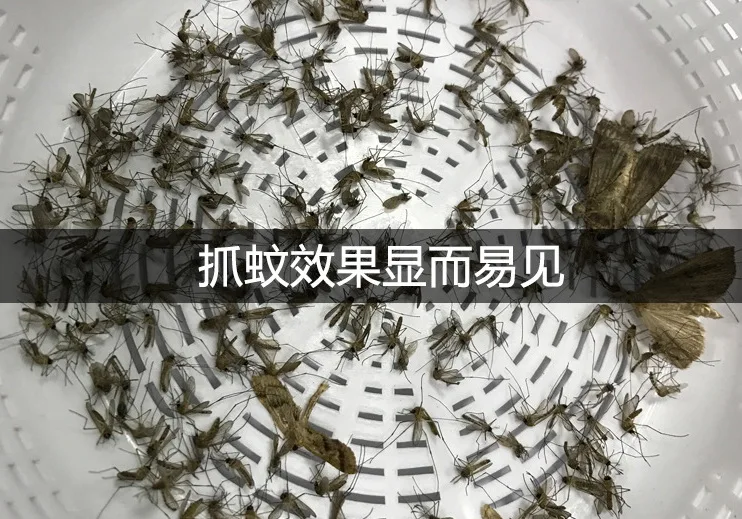 QQ20170503160448