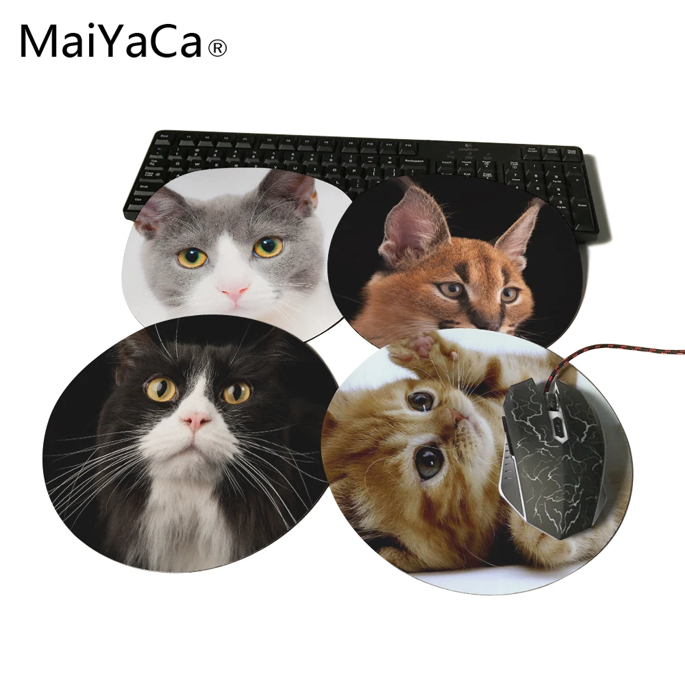 Buy MaiYaCa Cats Kittens White Background Anti Slip