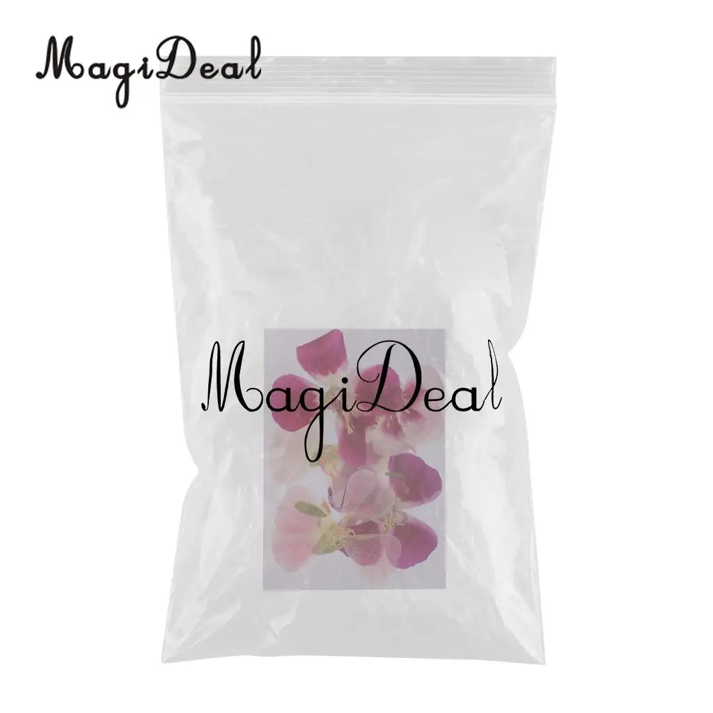 6x Natural Pressed Real Dried Flower Specimen for Jewelry Making Resin Casting DIY Craft Scrapbook Embellishment 4-7cm