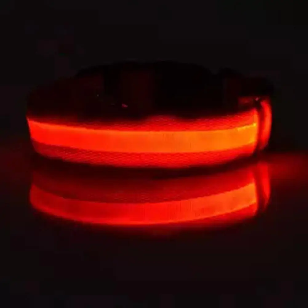 LED Pet Cat Dog Collar Night Safety Luminous Necklaces For Outdoor Walking - Цвет: red