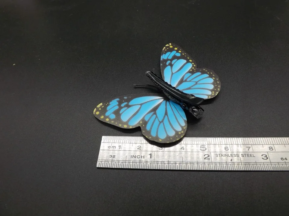 I282-Butterfly (12)
