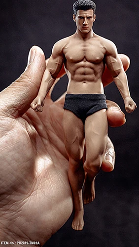 15,3 см/16,3 см 1/12 Супер фитнес гибкое мужское бесшовное тело с головой мини фигура Солнцезащитная кожа модель для поклонников подарки - Цвет: TM01A Pre-sale