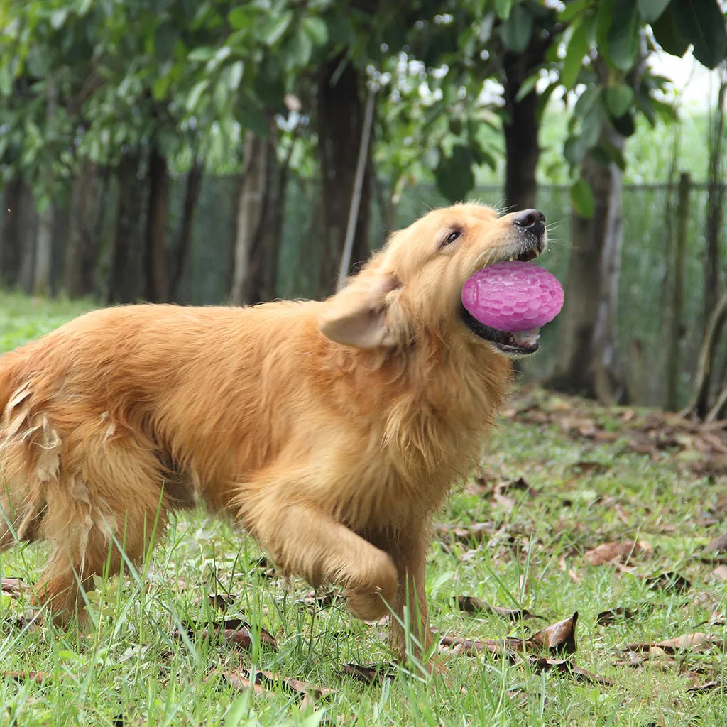 

Interactive Bite Soft Dog Chew Toys Pet Toys Tooth Cleaning Ball Food Toys Resistant Toys For Large Dogs Chew Training Products