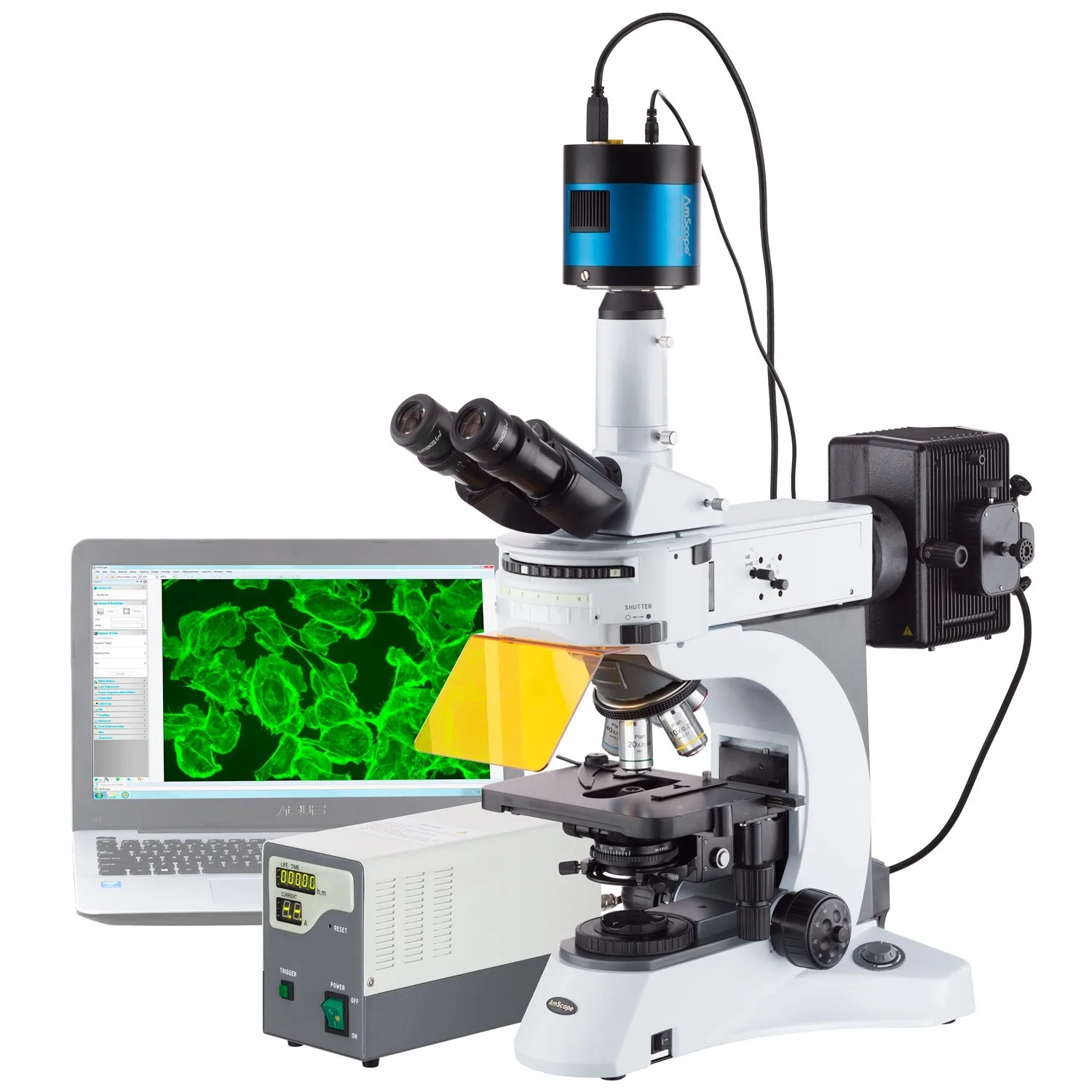 

AmScope 40X-1000X Upright Fluorescence Microscope with Rotating Multi-filter Turret + Ultra-sensative CCD Camera FM820T-MF603