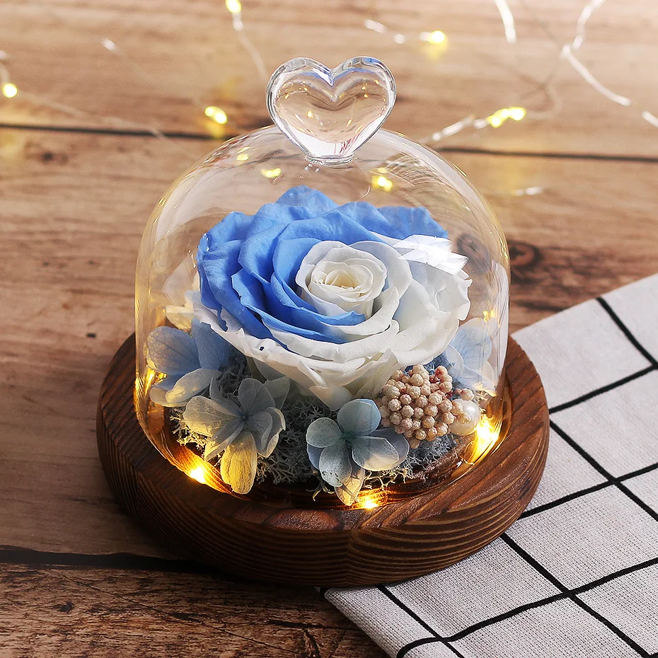 

Multicolor Rose Led Lamp In Glass Dome Beauty And The Beast Real Exclusive Rose Birthday Mother Day Presentblue White Roses
