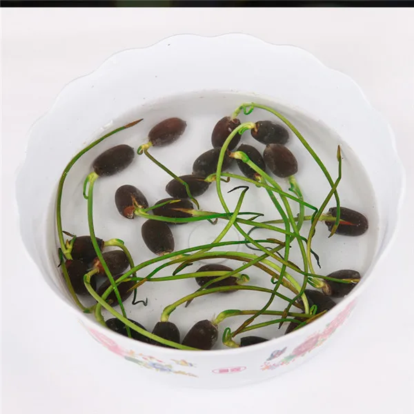 QQ20180510163322