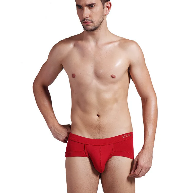 

3pcs/lot Plain Blank Underwear Men Erotic Sexy Men Sexy Red Stretchy Comfortable Brand Shorts Briefs Mens Clothes RMU153016