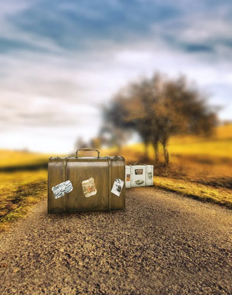

Suitcase Fall Yellow Tree Photography Backdrops Photo Props Studio Background 5x7ft